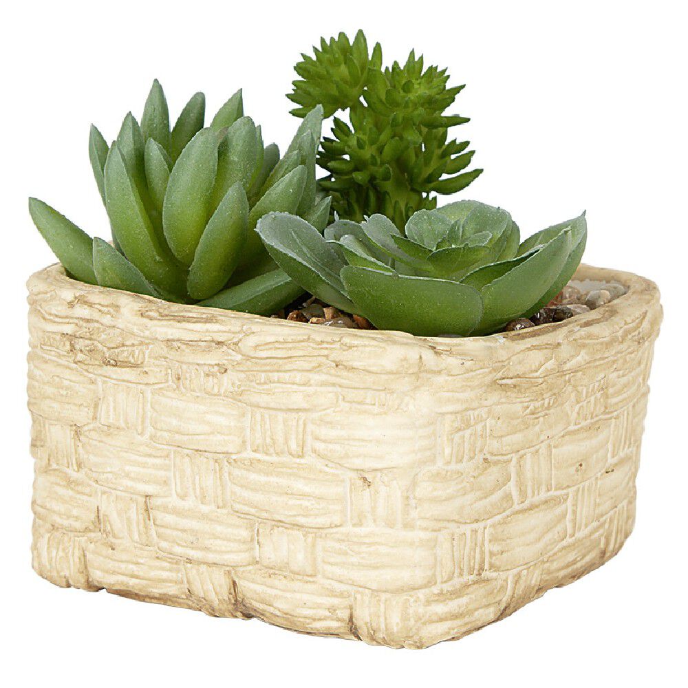 Plante grasse artificielle pot céramique style panier effet pierre