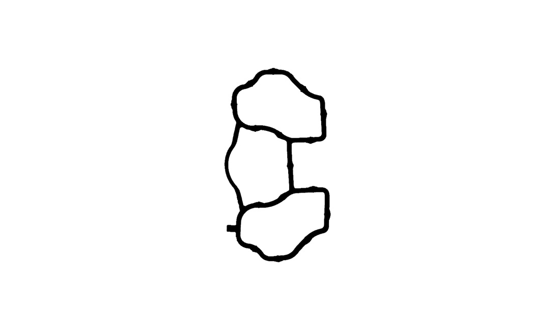 Pakning, indsugningsmanifold