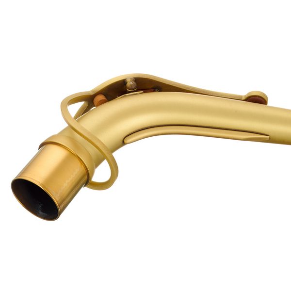 Selmer S-Neck Alto Supreme Patinated