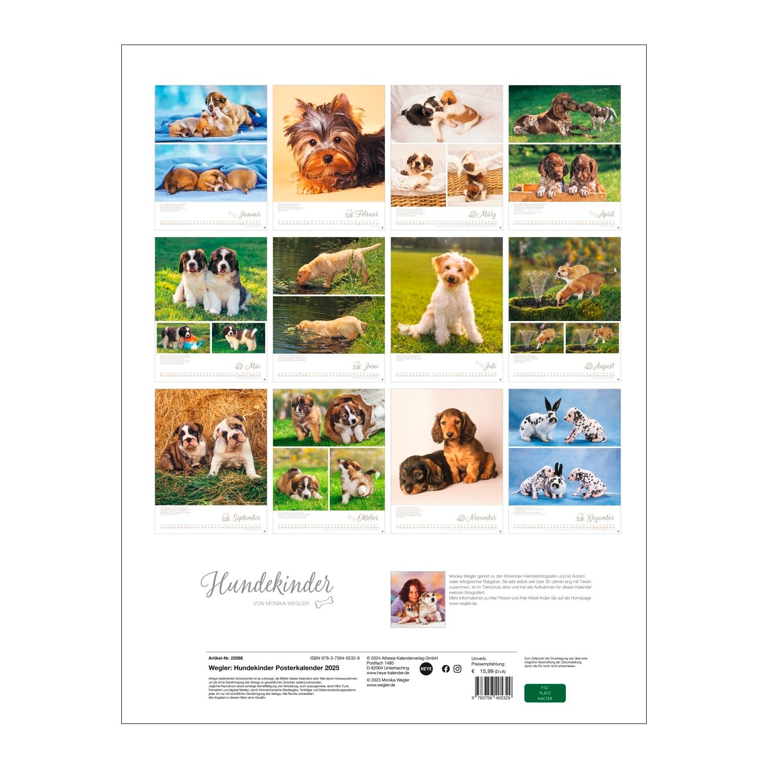 Posterkalender Hundekinder 2025