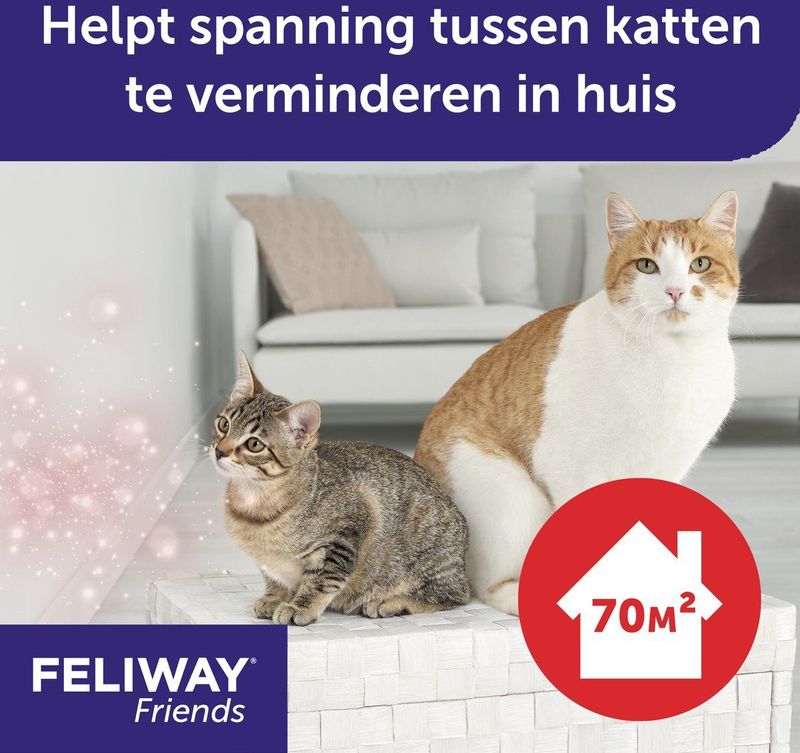 Feliway Friends - navulling - 48 ml - Anti-conflict voor Katten