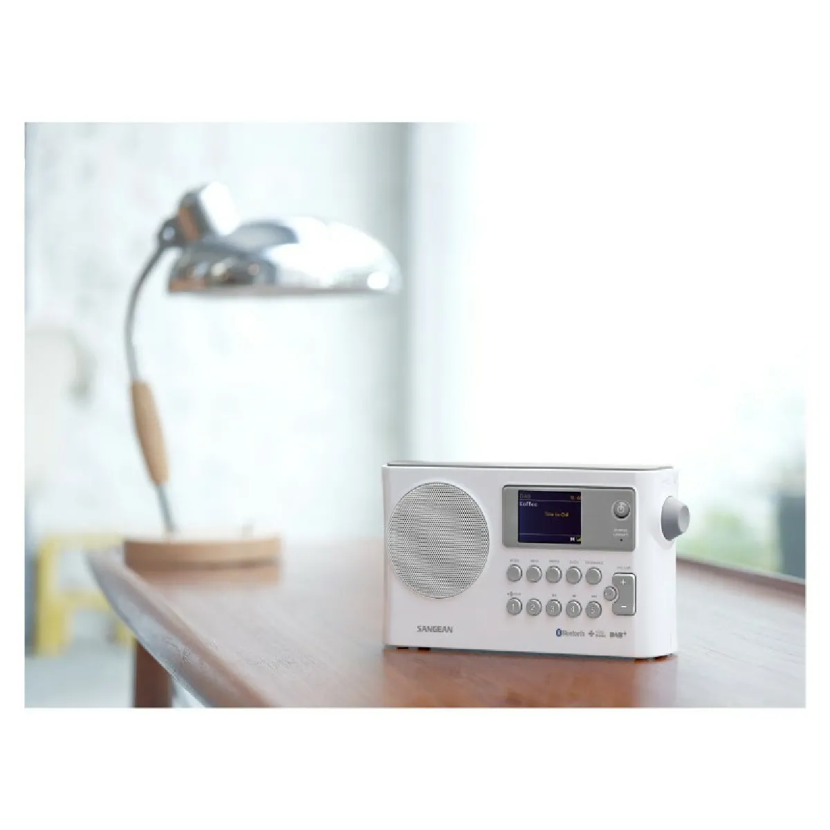 SANGEAN Hedonic 160 (BTR160)