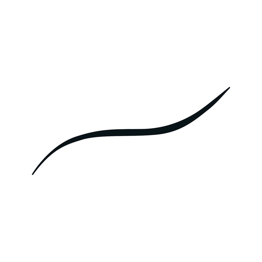 Flex Tip Eyeliner