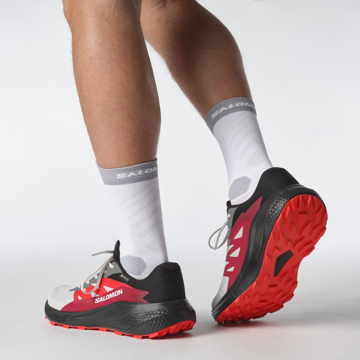 Salomon<br>Alphaglide GTX