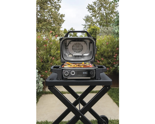 Ninja Woodfire Outdoor Elektrische Grill Heteluchtfriteuse Rookoven, 6 Kookfuncties, 2,4 kW Model OG701
