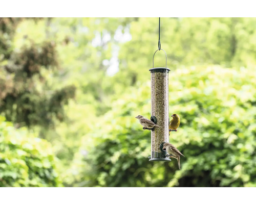CJ Wildlife Wild Bird Food, gehakte pinda's, 2 kg, vogelvoer voor het hele jaar
