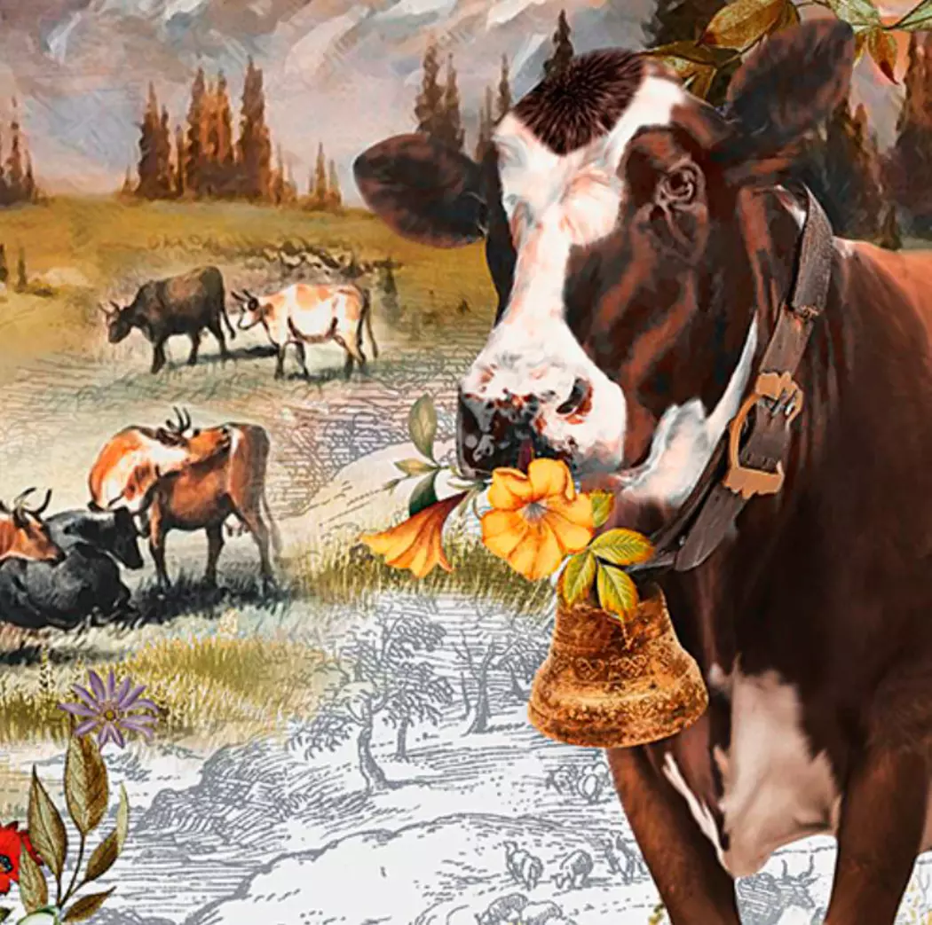 Bettwäsche Alpenglück 135 x 200 cm