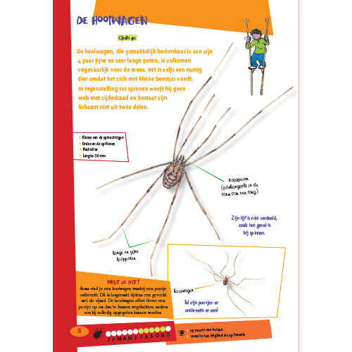 Uitgeverij deltas de leukste insectengids