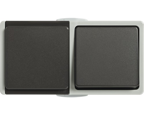 Opbouw, vochtbestendige contactdoos en wisselschakelaar, IP54, horizontaal, lichtgrijs/donkergrijs, standaard IP54