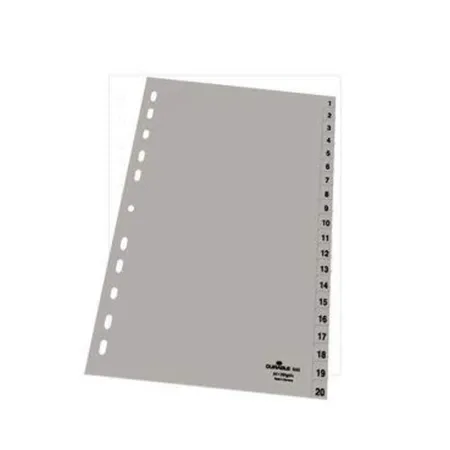 Durable 652210 Register mit geprägtenr Taben, 1-20, grau