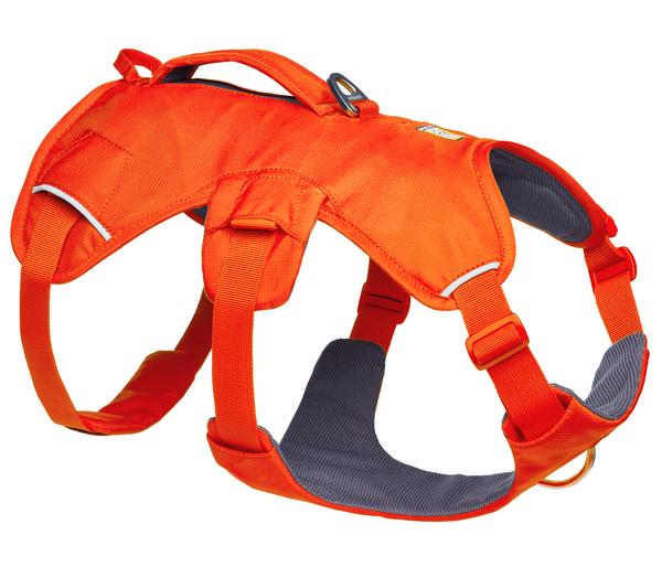 RUFFWEAR® Hundegeschirr Web Master™