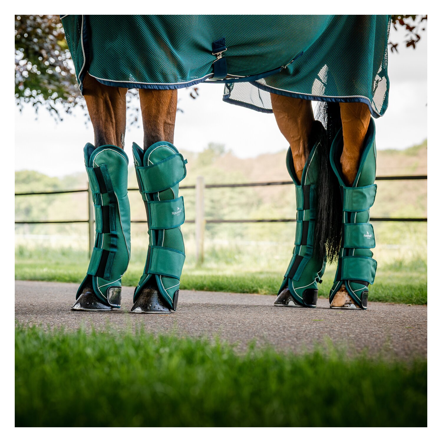 HORSEWARE Signature Transportgamaschen  - hunter green