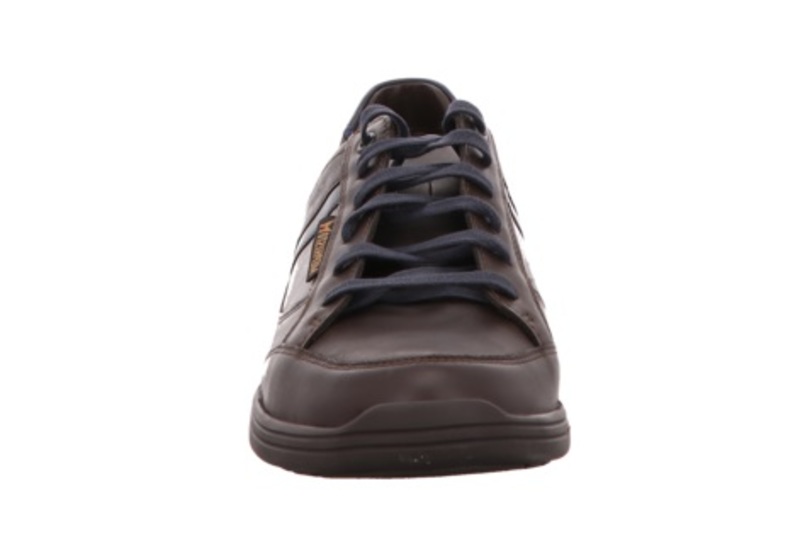 Mephisto Frank Bruin