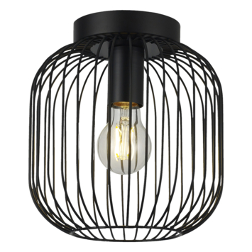 KARWEI plafondlamp Vic zwart 23xØ21cm