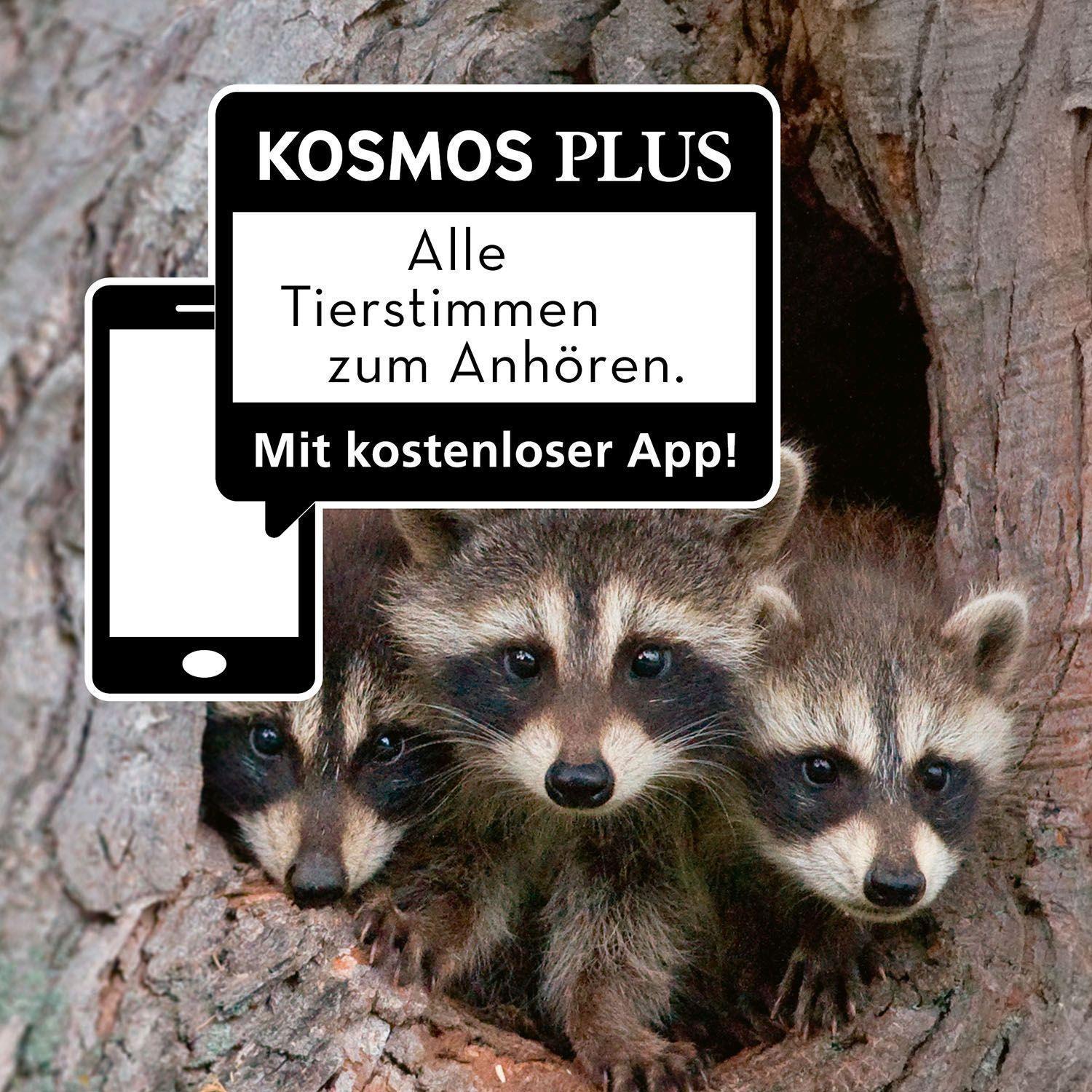 Tier- und Pflanzenführer. Kindernaturführer