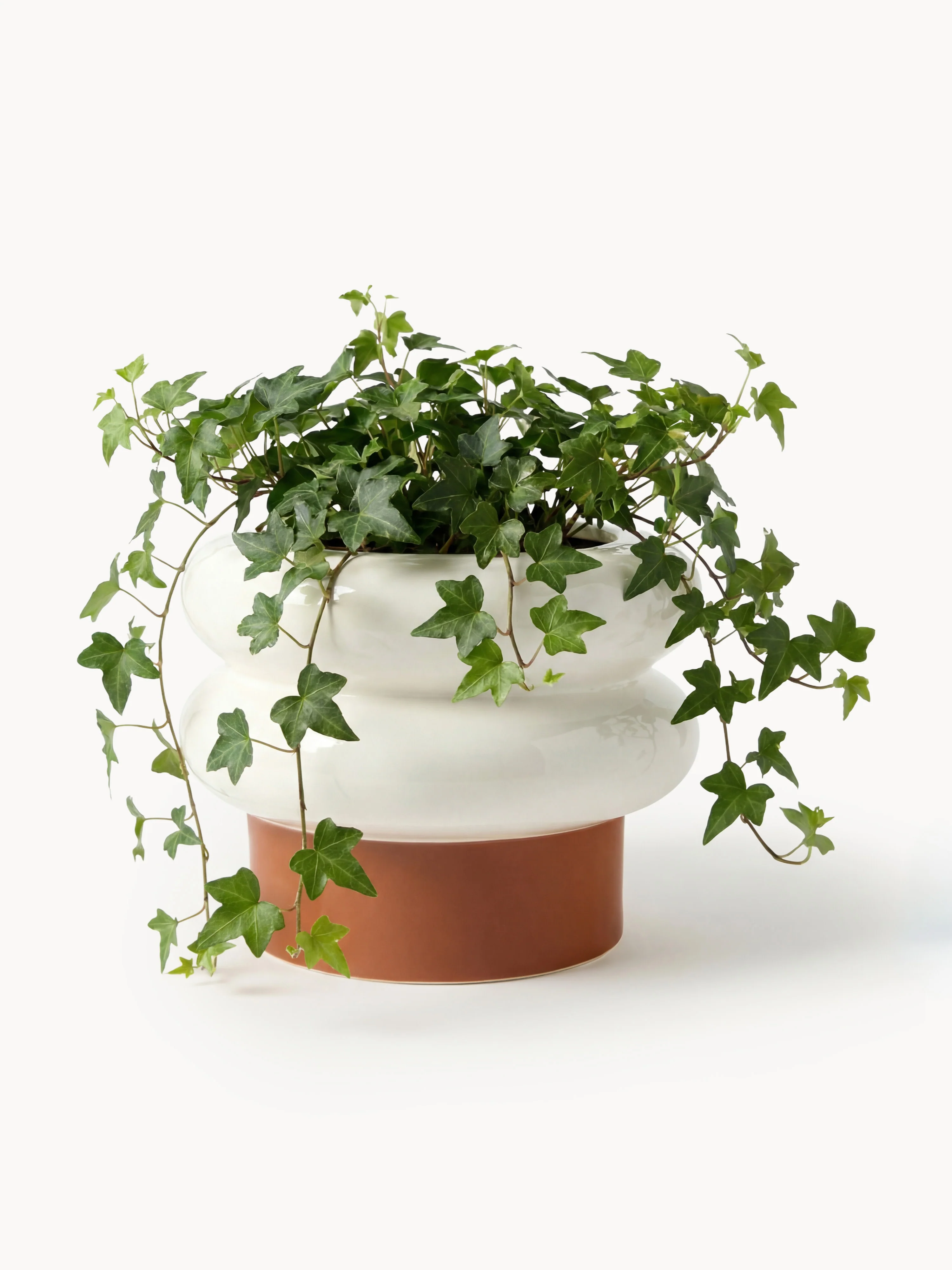 Plantenbak Mariana, H 24 cm