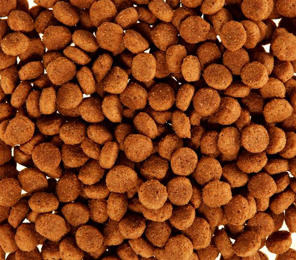 ROYAL CANIN® Trockenfutter für Hunde Club