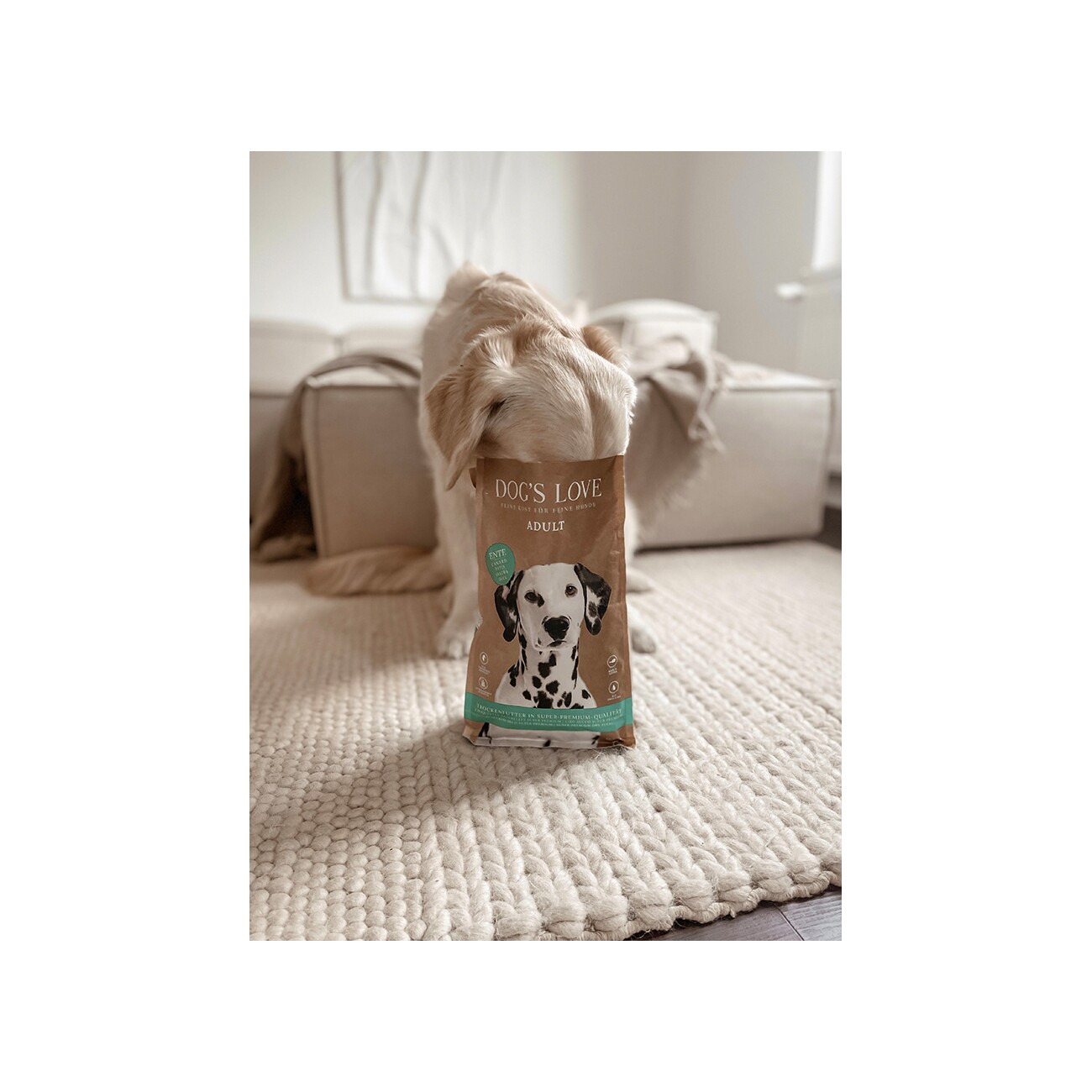 DOG'S LOVE Adult Ente 2 kg