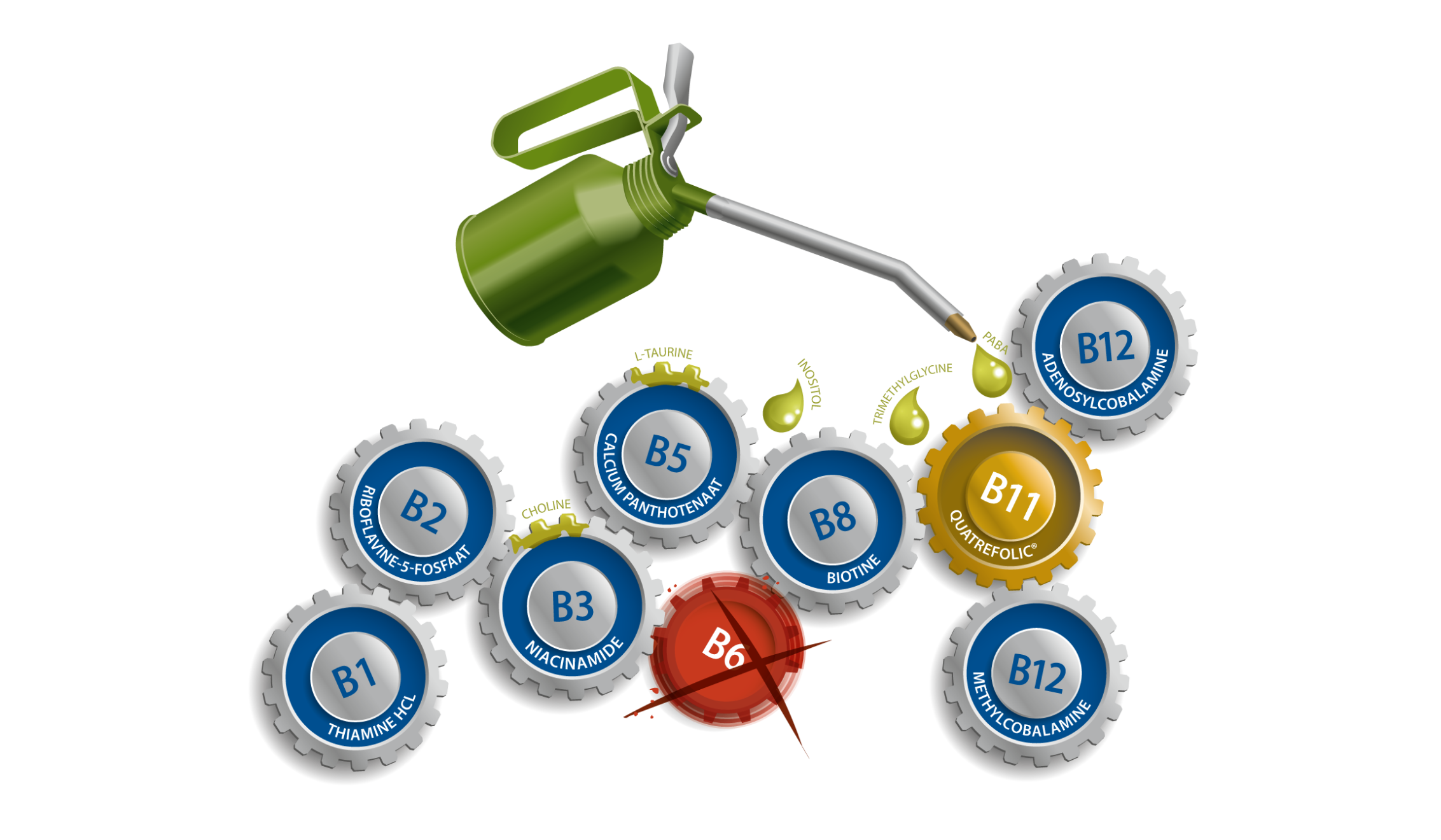 B-Complex Actief zonder B6