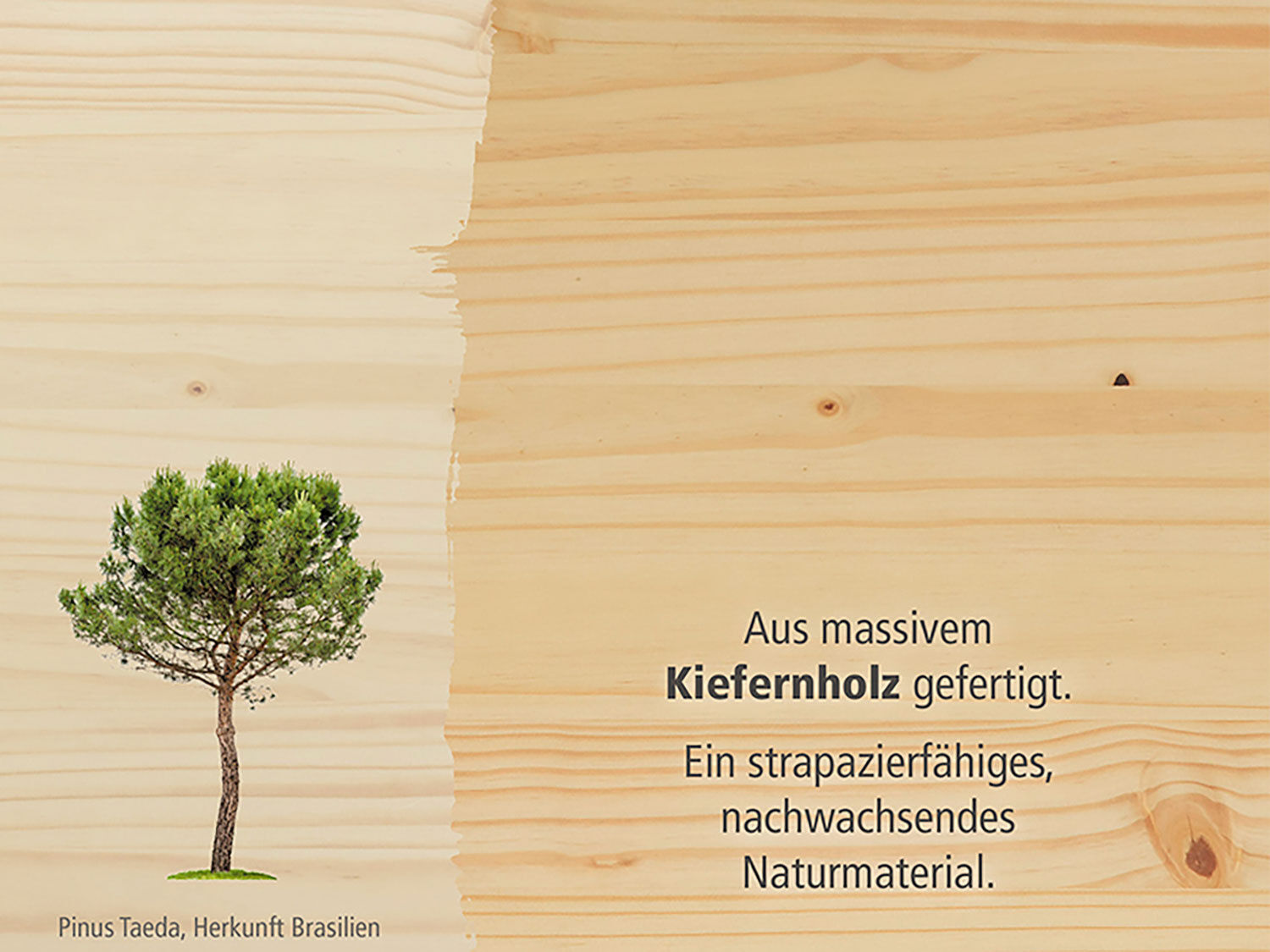 Funktionsbett ULLA mit Zusatzbett