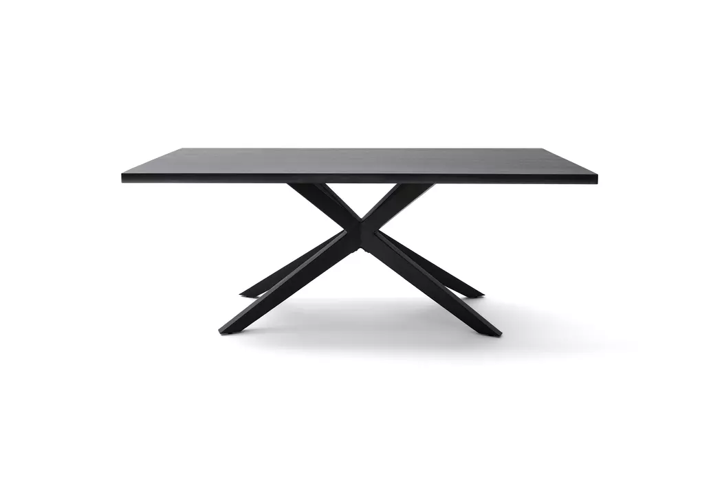 Esstisch Tiama 220 x 100 cm