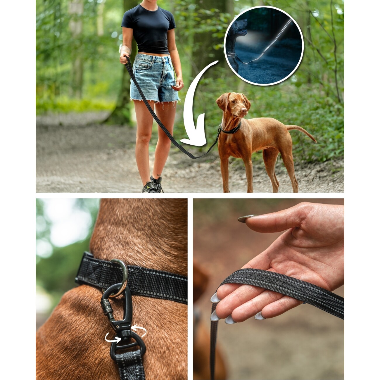 Lionto gummierte Führleine für Hunde, reflektierend