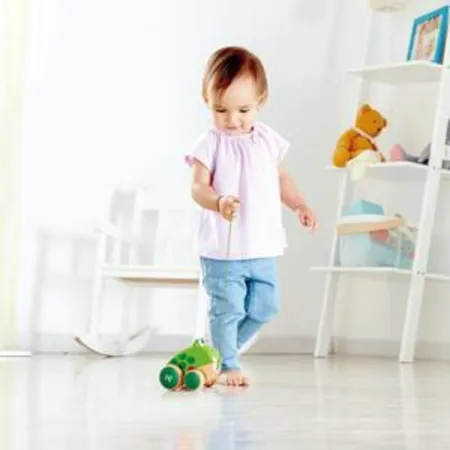 Hape Nachziehfrosch Fridolin