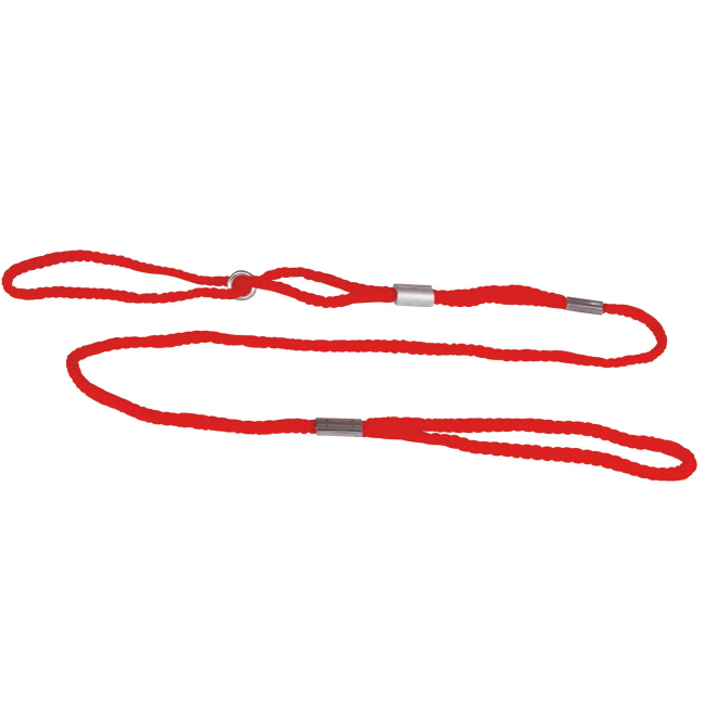 Laisse collier de présentation pour chien