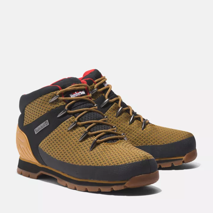 Bottine de randonnée Euro Sprint pour homme en jaune/noir