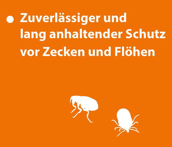 ARDAP® Zecken- und Flohschutz Spot-On für