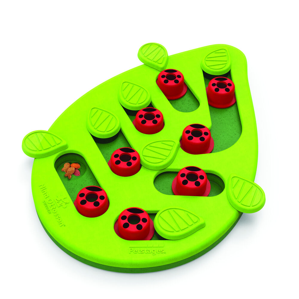 Nina Ottosson Buggin' Out Puzzle & Play - Kattenspel