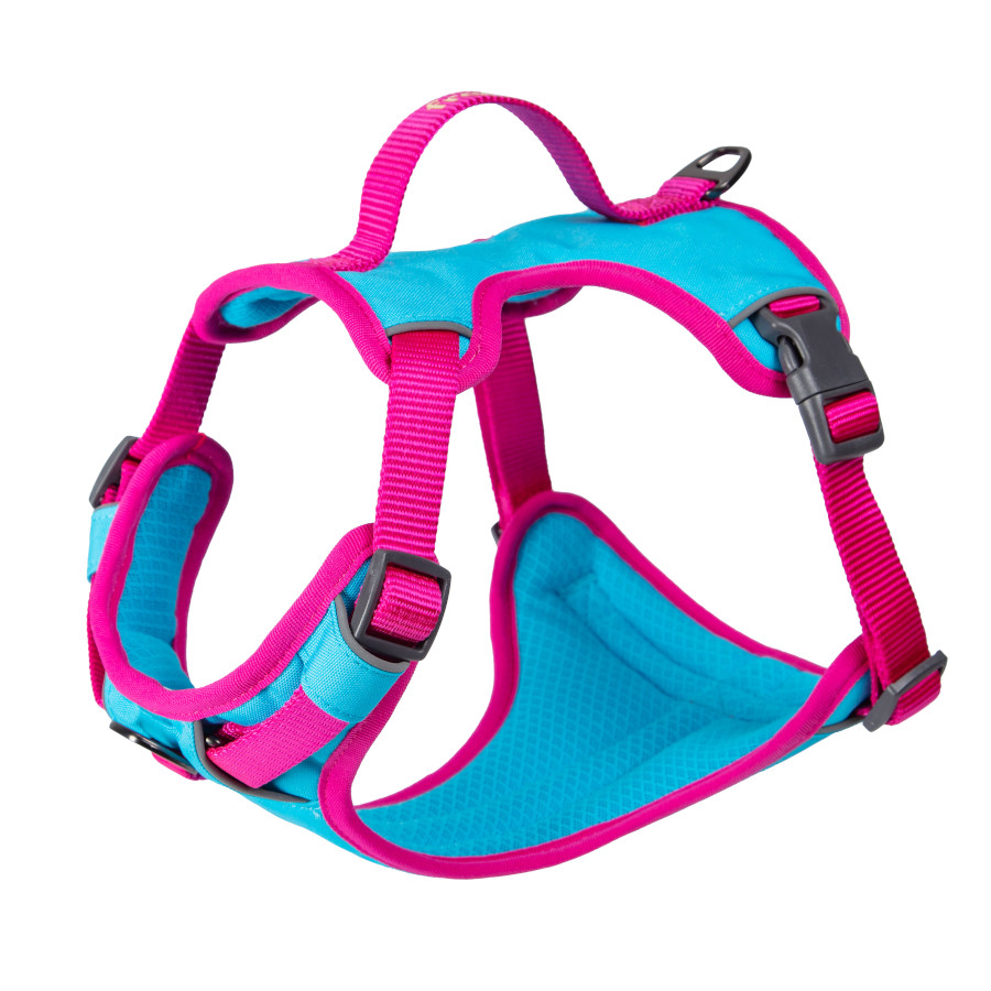 Colete esportivo refrescante Freedog Cool Pro Tech Fuchsia para cães