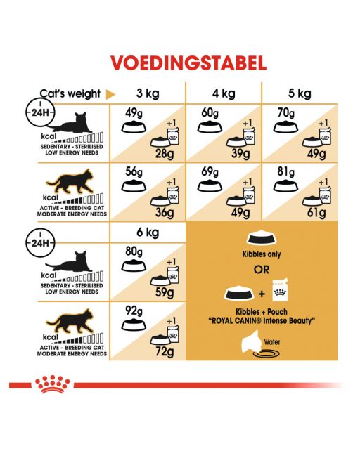 Royal Canin Sphynx Adult - Kattenvoer