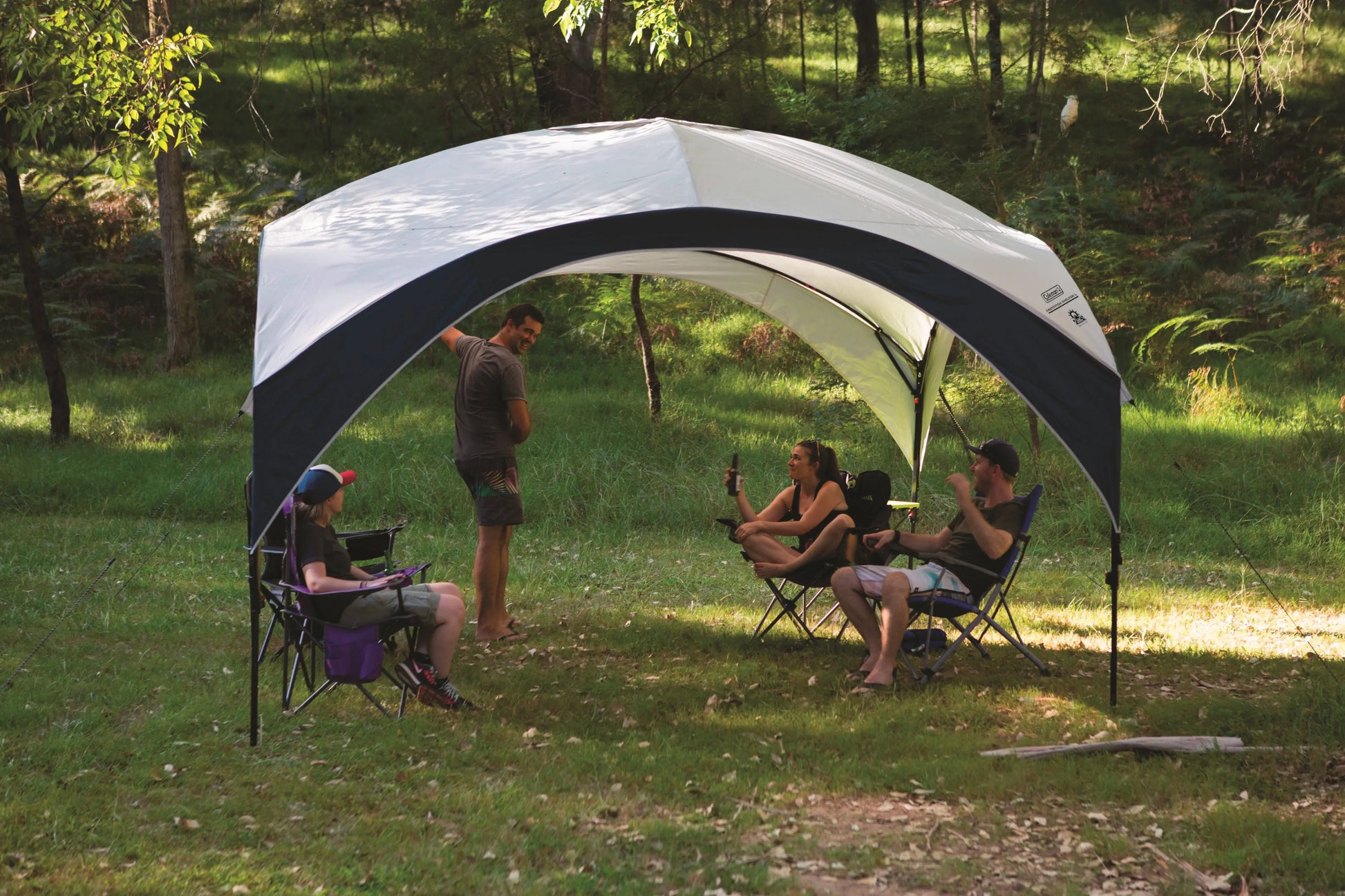 FastPitch Shelter XL 4.5 x 4.5m