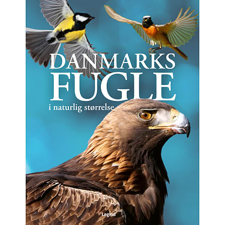 Danmarks fugle - Nancy J. Hajeski