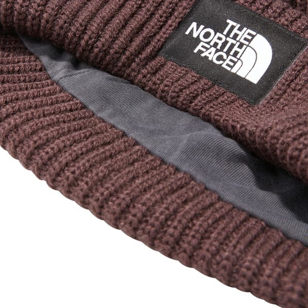 Bonnet ski THE NORTH FACE SALTY DOG BEANIE COAL BROWN