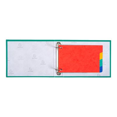 Exacompta Forever - Intercalaire 4 positions - pour fiches Bristol 10 x 15 cm - carte recyclée