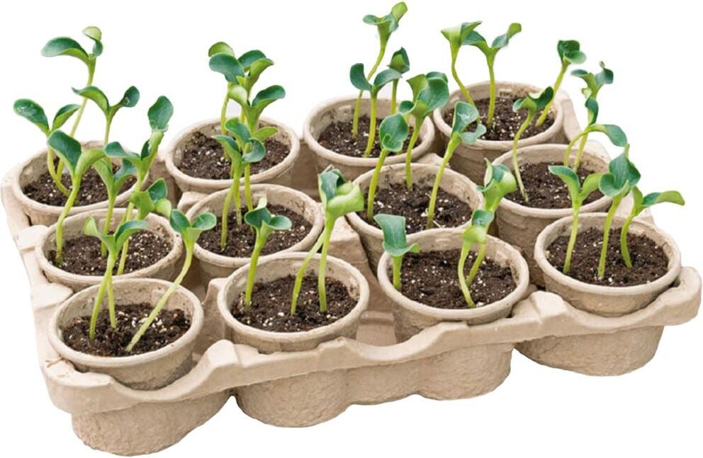 Sogo eco kweektray inclusief 12 potjes 7,5 x 40 x 28 cm