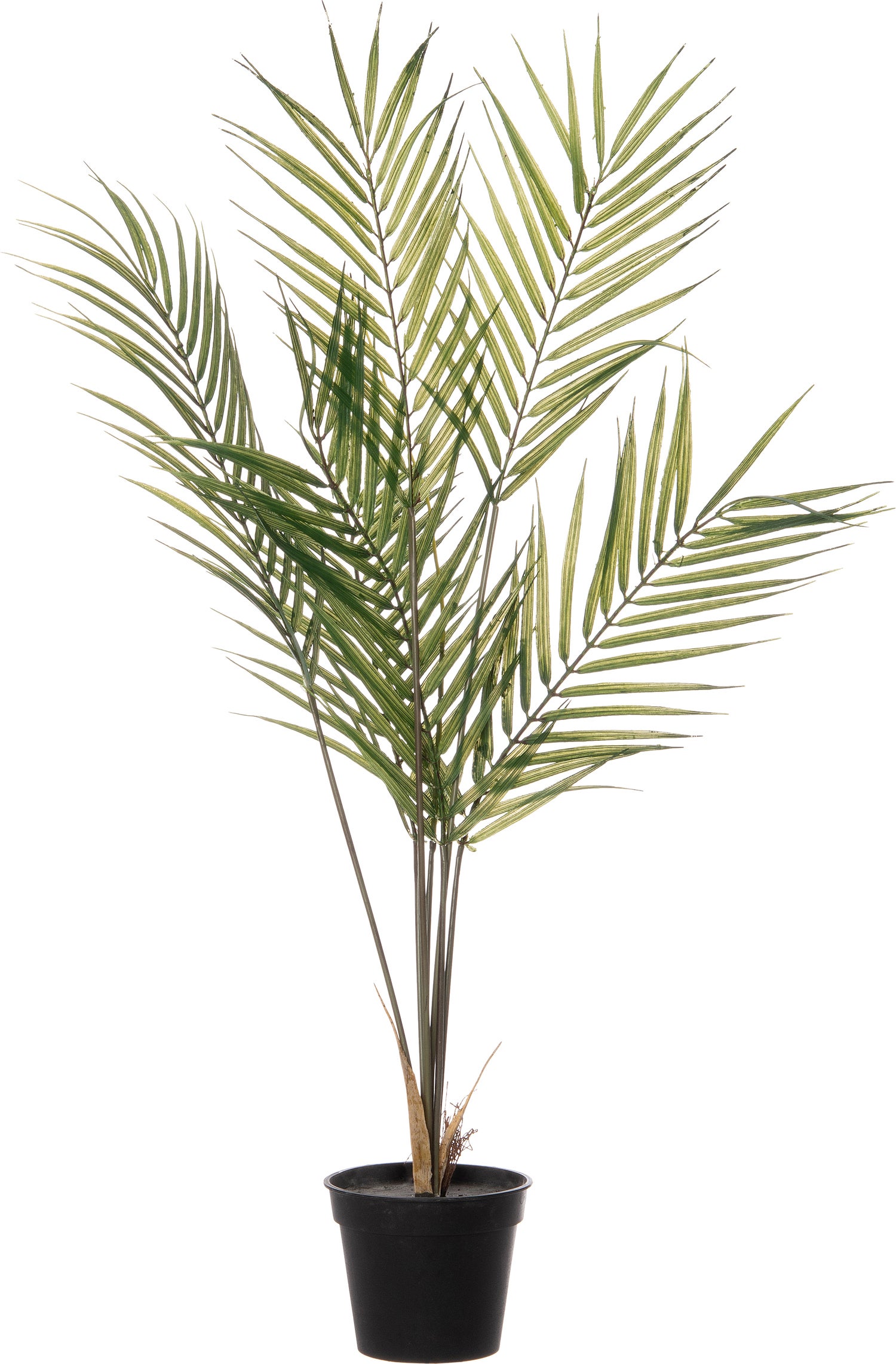 Intratuin kunstplant Palm D 45 H 70 cm