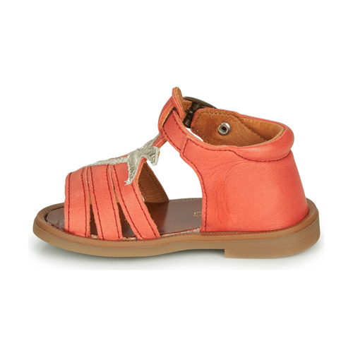 GBB - ARAGA - Corail