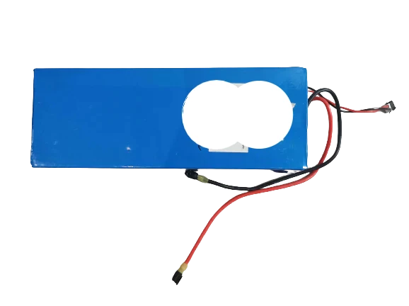 Batterie 60V 13,2AH pour Gyropode Eswing