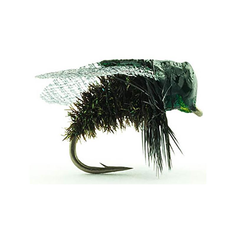 Mouche Devaux Terrestre Mav 01 Bl