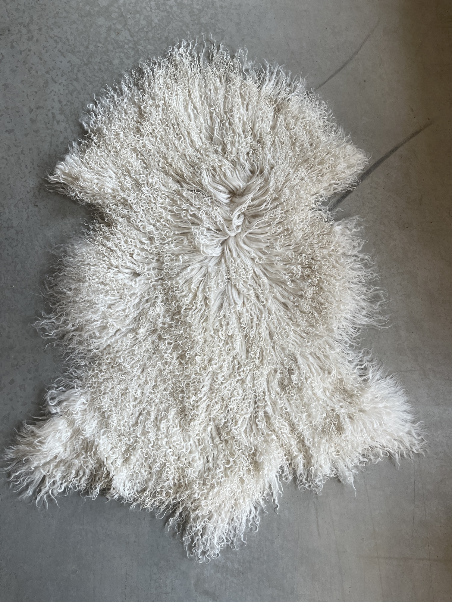 Natürliches Schafsfell beige-weiß, B ca. 100 cm, L ca. 60 cm von fischer's lagerhaus