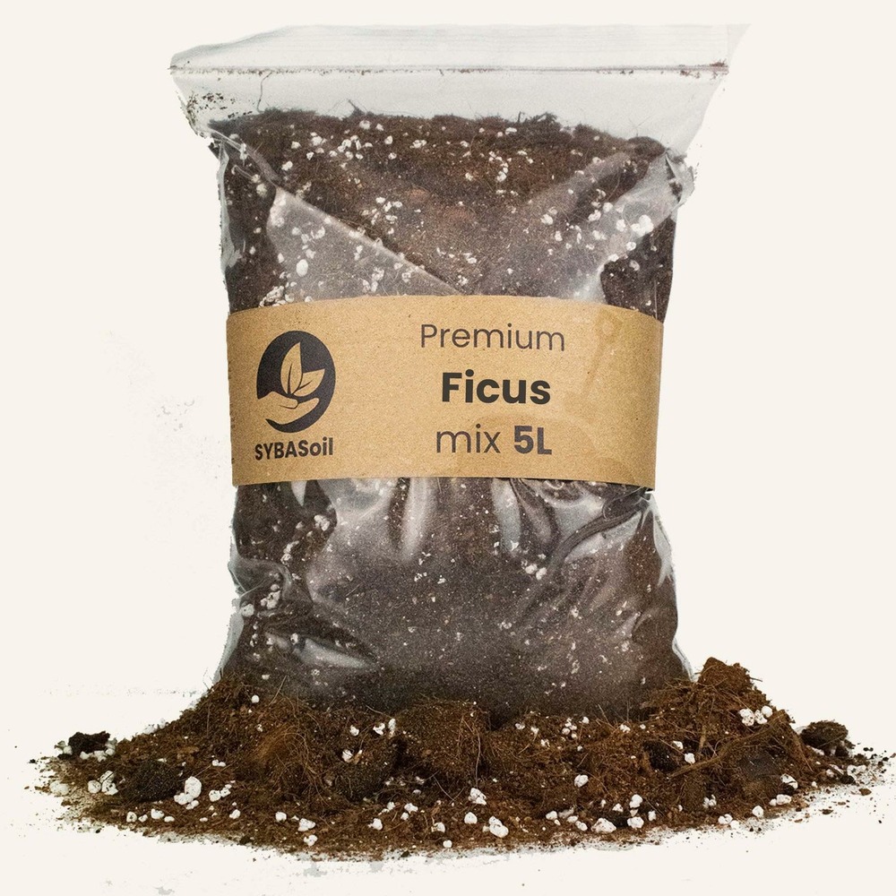 Terreau ficus - 5l