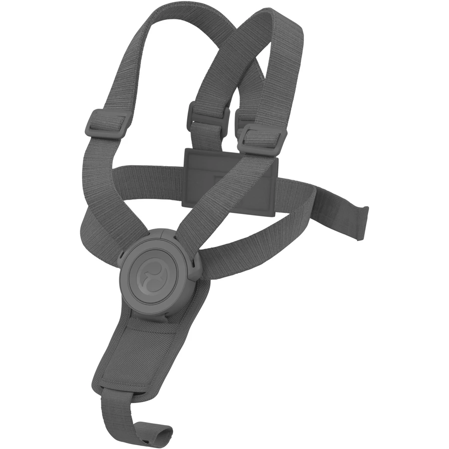 cybex GOLD Anschnallgurt für Lemo Light Grey