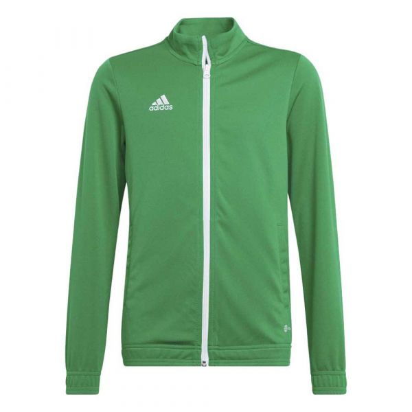 Adidas Entrada 22 Jacket Verde 9-10 Anos