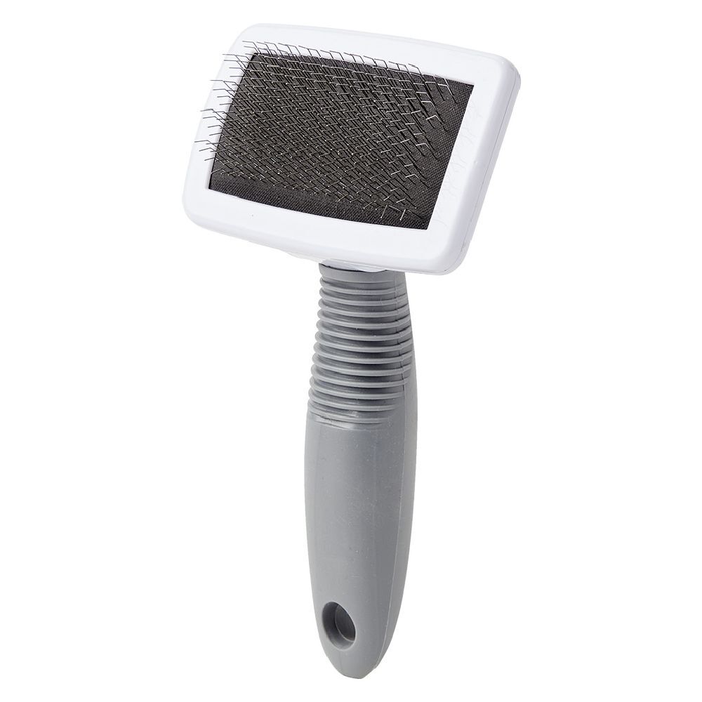 Brosse carde pour animal