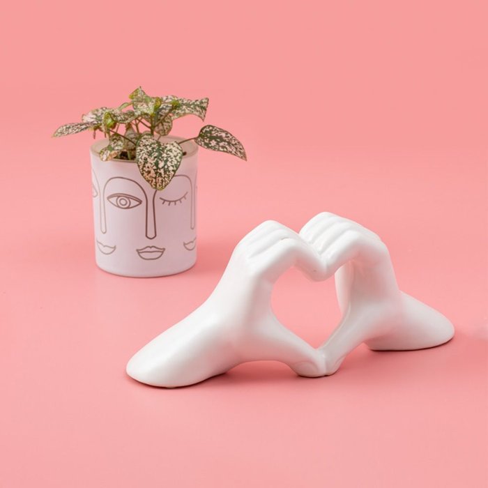 Giftset | Love | Hypoestes plant met hart accessoire