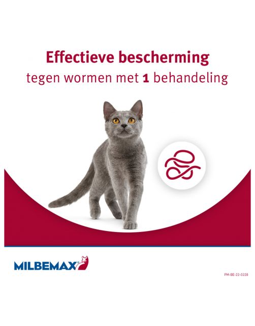 Milbemax Milbemax Kitten & Kat - Anti wormenmiddel - 2 tab 0.5 Tot 2 Kg