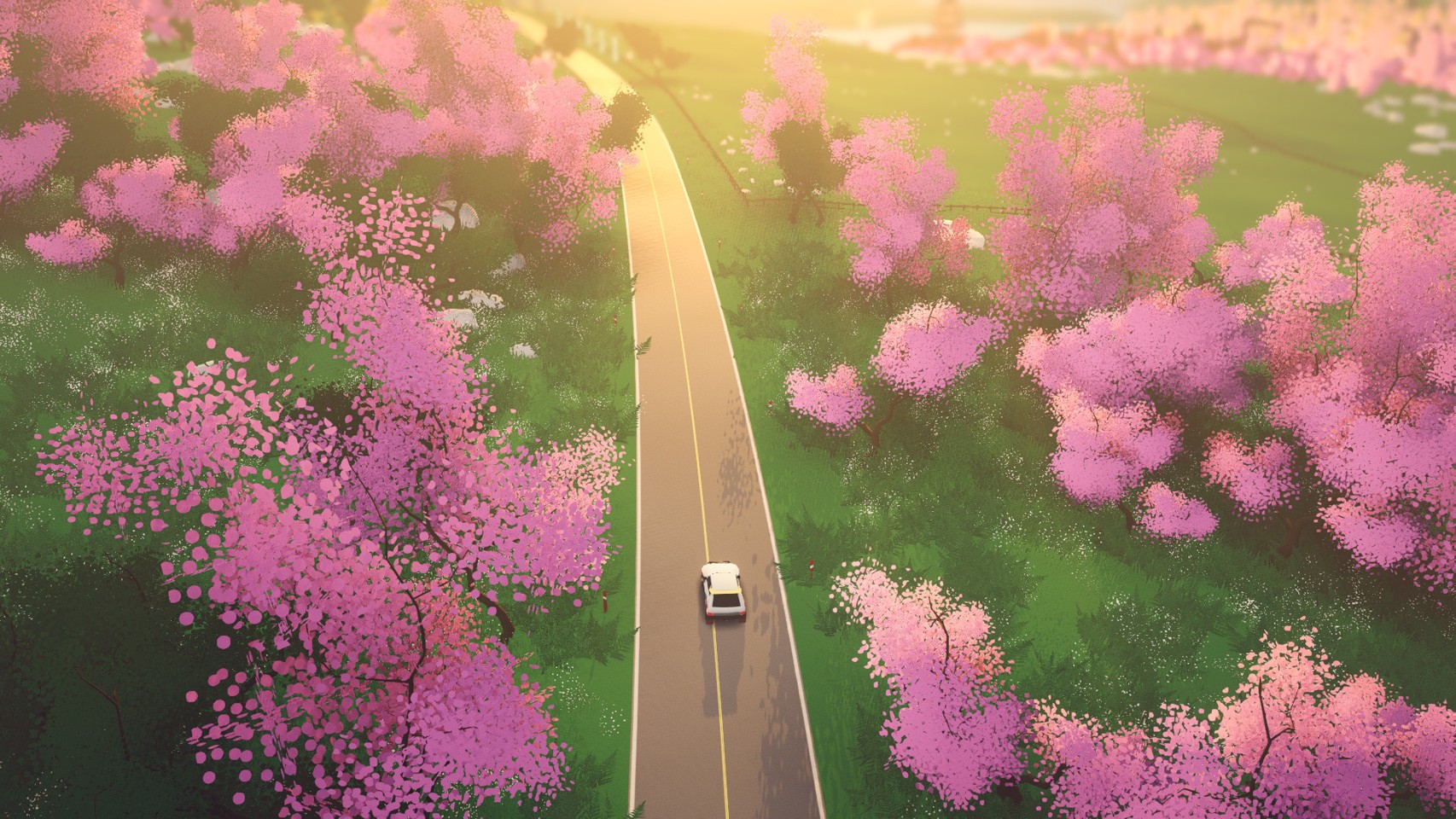 art of rally- PC